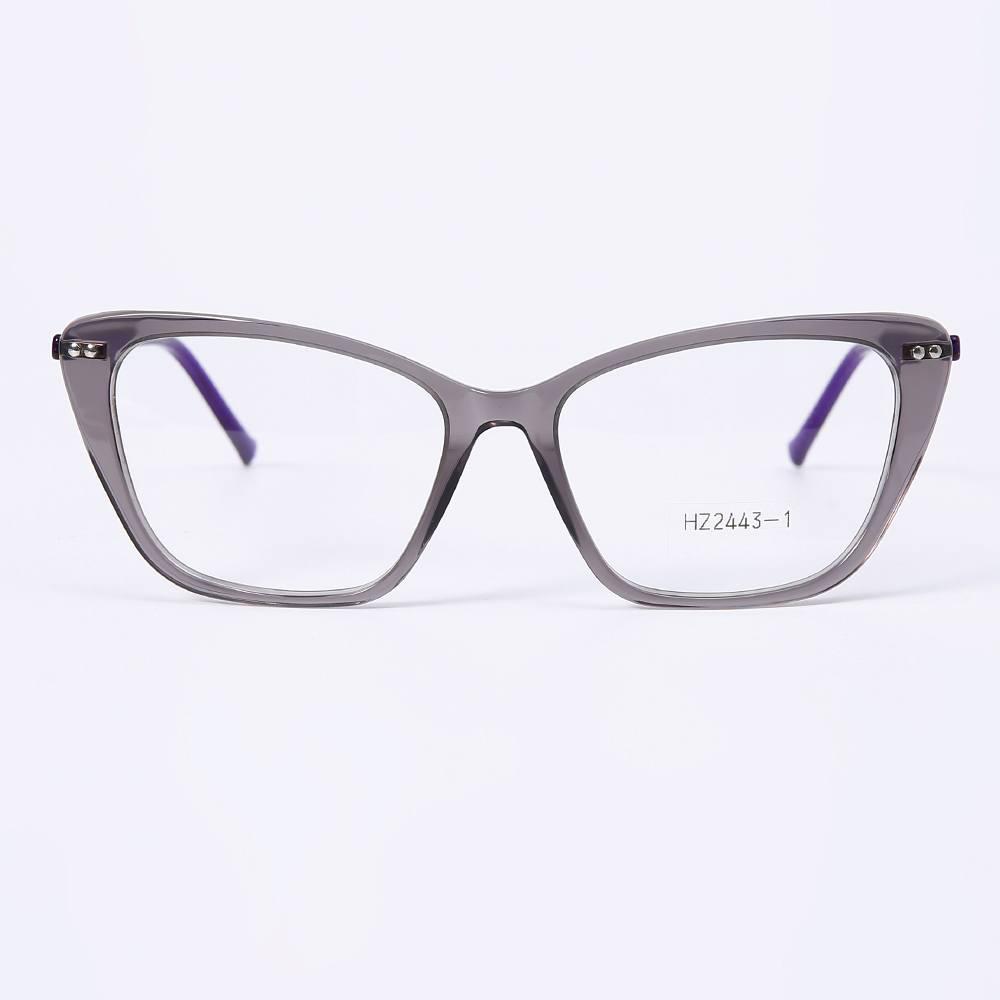 HZ24443-1 Eyeglasses Frame