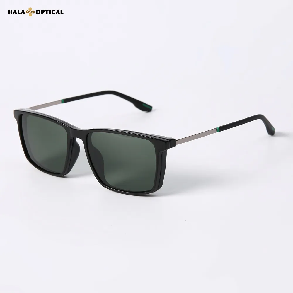 HTZ066 Sunglasses