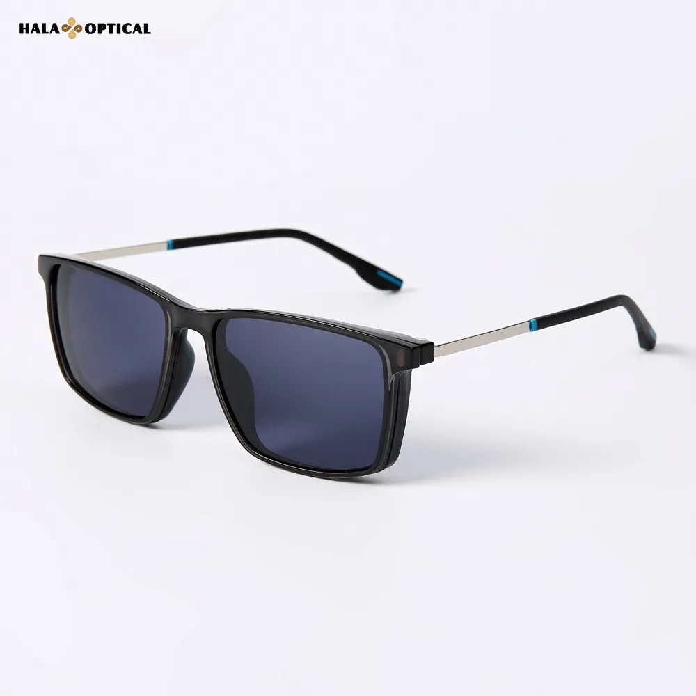 HTZ066 Sunglasses