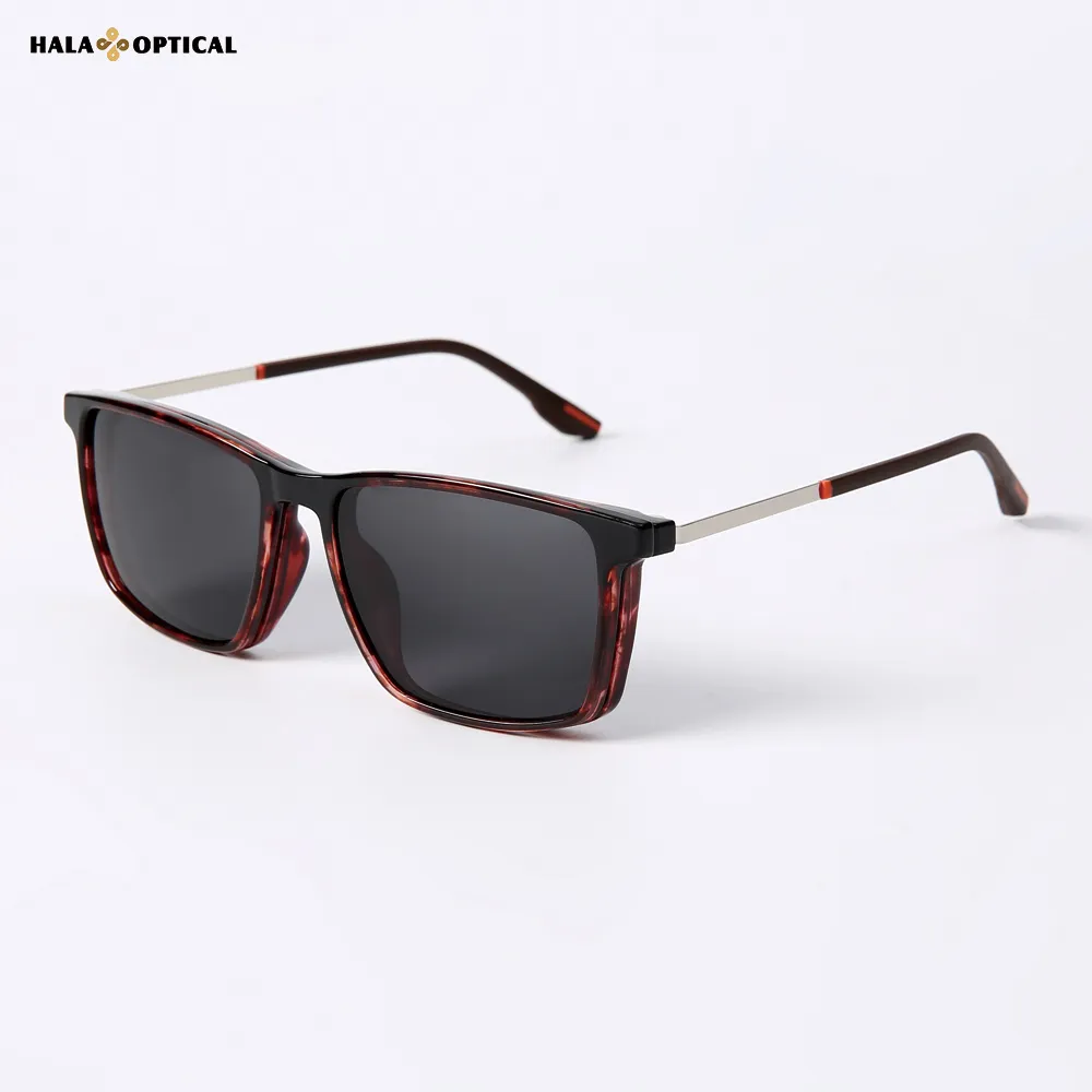 HTZ066 Sunglasses